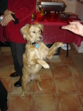 Click to see DSC07616.JPG