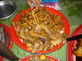 Click to see DSC04794.JPG