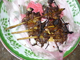 Click to see DSC04903.JPG