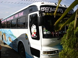 Click to see DSC04906.JPG
