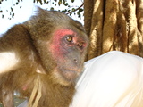 Click to see DSC04944.JPG