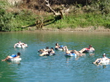 Click to see DSC04954.JPG