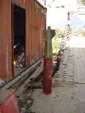 Click to see DSC04977.JPG