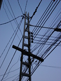 Click to see DSC05005.JPG